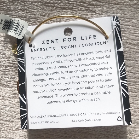 Alex and Ani | gold Zest for Life charm bracelet - Picture 4 of 4